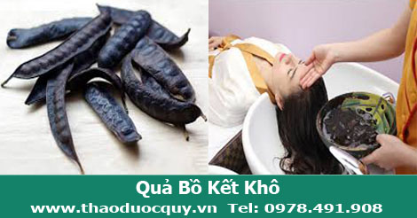 quả bồ kết phơi kh&ocirc;