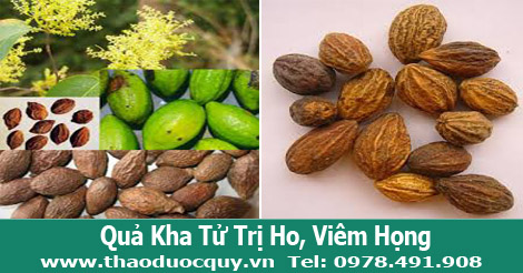 quả kha tử